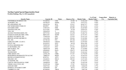 Special Opportunities Fund Monthly Holdings Report