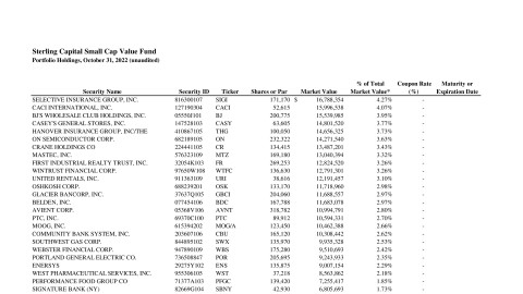 Small Cap Value Fund Monthly Holdings Report