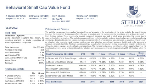 Behavioral Small Cap Value Equity Fund Fact Sheet